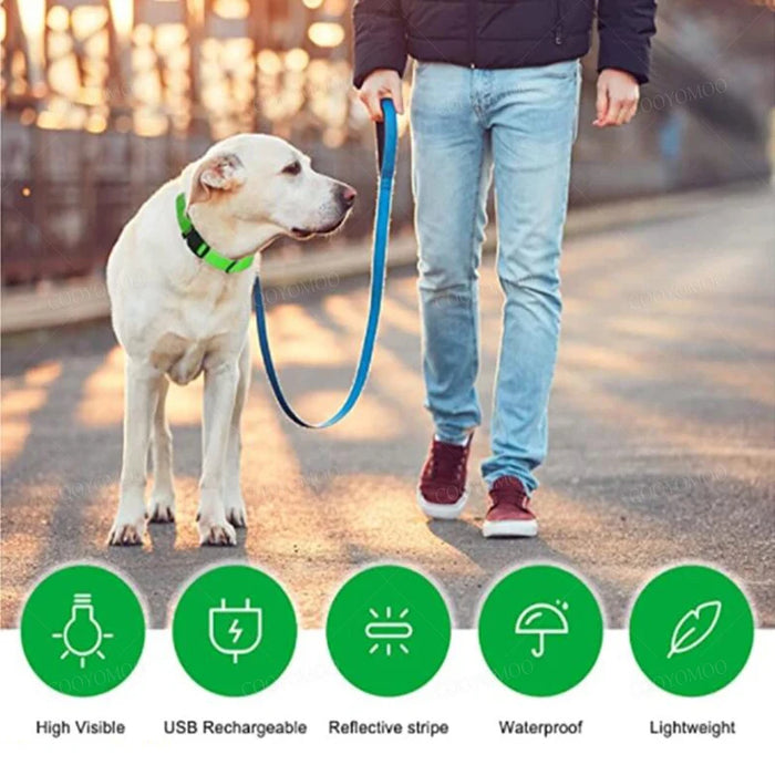 3 Modes Dog/Cat Luminous Charge Collar Led