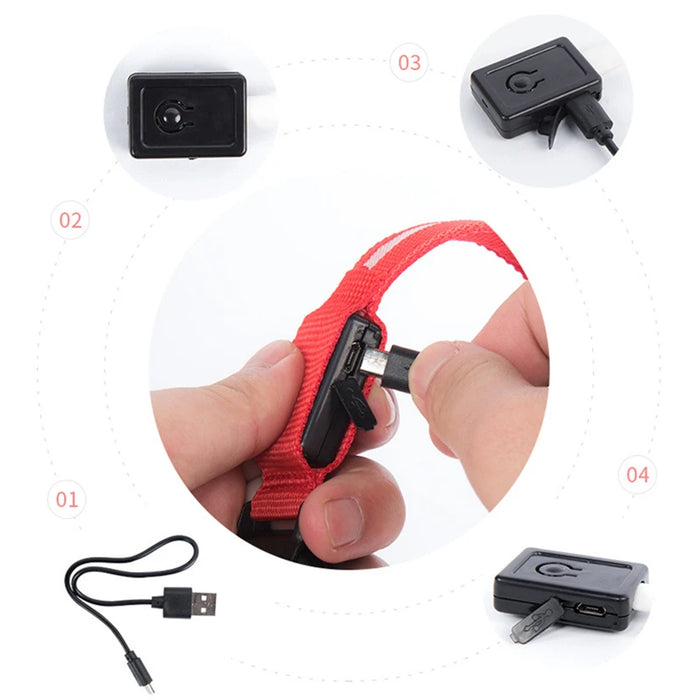 3 Modes Dog/Cat Luminous Charge Collar Led