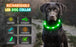 USB Rechargeable Luminous Collar Adjustable Led Glowing Dog Collar for Large Small Dogs Cat Night Light Collar Pet Safety Harnes