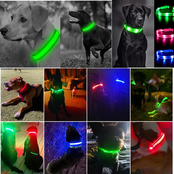 3 Modes Dog/Cat Luminous Charge Collar Led