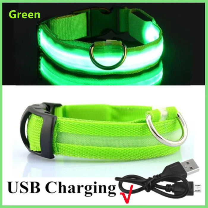 3 Modes Dog/Cat Luminous Charge Collar Led
