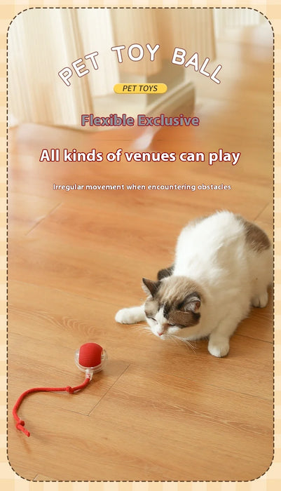 New Electric Cat Ball Toys Automatic Rolling Ball With Teaser Bird Cat Toys Pet Interactive Smart  Sensor Rechargeable Cat Toys
