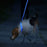 3 Modes Dog/Cat Luminous Charge Collar Led
