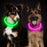 USB Rechargeable Fiber Optic Collar Pet Dog LED Light Collar Luminous Anti-Lost Dog Collar USB Rechargeable Dog Necklace Collar