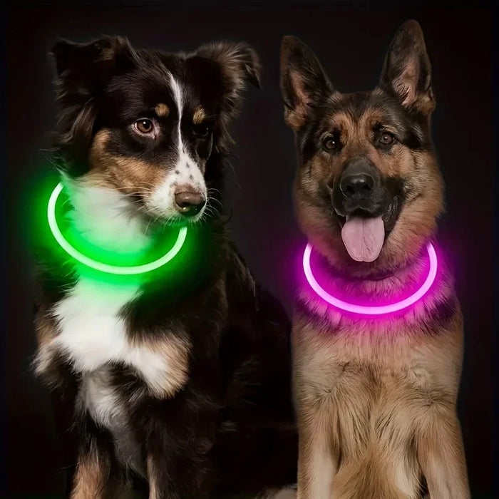 USB Rechargeable Fiber Optic Collar Pet Dog LED Light Collar Luminous Anti-Lost Dog Collar USB Rechargeable Dog Necklace Collar