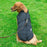 Large Pet Dog Jacket With Harness Winter Warm Dog Clothes For Labrador Waterproof Big Dog Coat Chihuahua French Bulldog Outfits