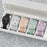 Casual Silicone Strap Quartz Watch
