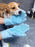 Pet Grooming Cleaning Gloves Dog Cat Bathing Shampoo Glove Scrubber Magic Dishwashing Cleanner Sponge Silicon Hair Removal Glove