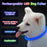 USB Rechargeable Fiber Optic Collar Pet Dog LED Light Collar Luminous Anti-Lost Dog Collar USB Rechargeable Dog Necklace Collar
