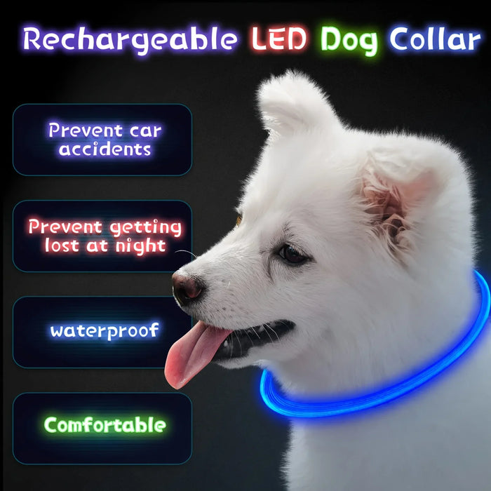 USB Rechargeable Fiber Optic Collar Pet Dog LED Light Collar Luminous Anti-Lost Dog Collar USB Rechargeable Dog Necklace Collar