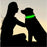 3 Modes Dog/Cat Luminous Charge Collar Led