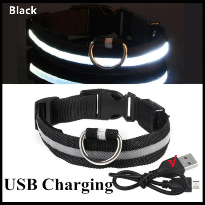 3 Modes Dog/Cat Luminous Charge Collar Led
