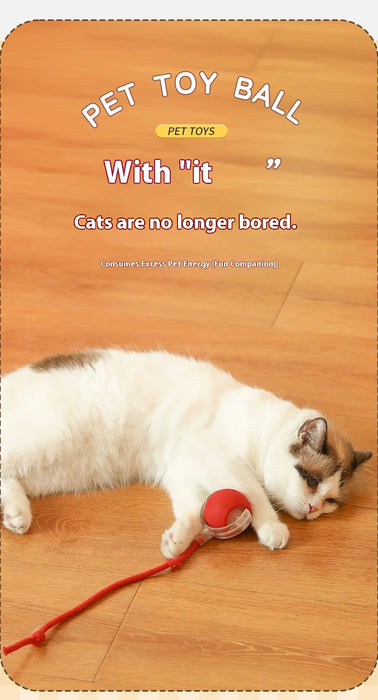 New Electric Cat Ball Toys Automatic Rolling Ball With Teaser Bird Cat Toys Pet Interactive Smart  Sensor Rechargeable Cat Toys