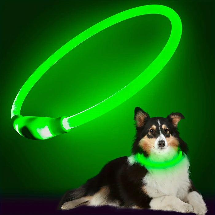 USB Rechargeable Fiber Optic Collar Pet Dog LED Light Collar Luminous Anti-Lost Dog Collar USB Rechargeable Dog Necklace Collar