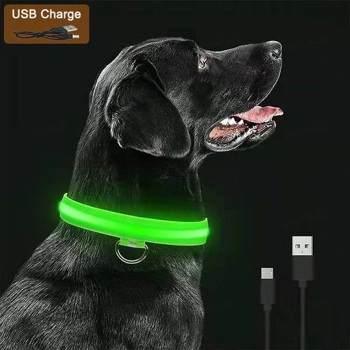 3 Modes Dog/Cat Luminous Charge Collar Led