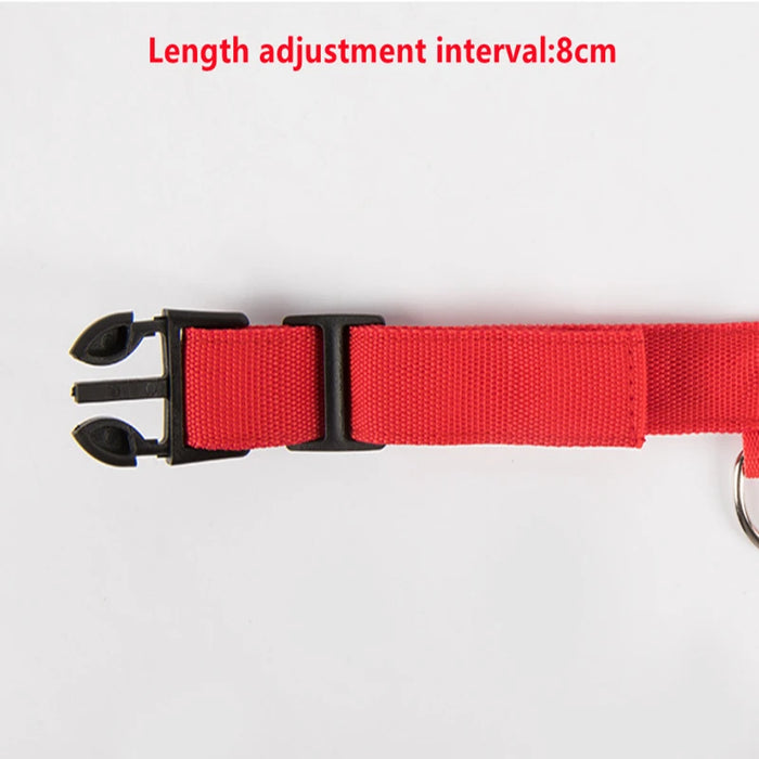 3 Modes Dog/Cat Luminous Charge Collar Led
