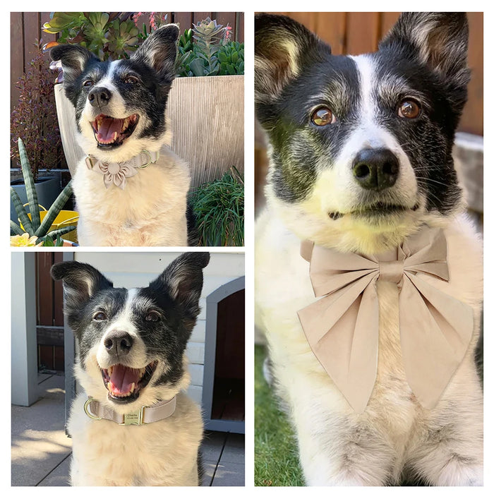Personalized Silk Dog Collar Adjustable Durable Dog Collar with Bowtie Flower For Small Medium Large Dogs Wedding Bowtie Collars