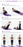 Portable Fitness Resistance Band with Pedal